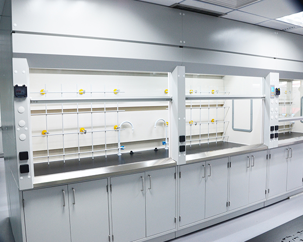 定制樱桃视频成人在线观看