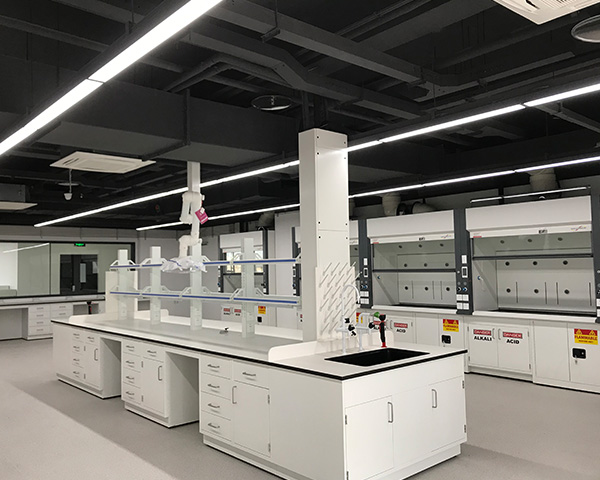 重庆正规樱桃视频黄下载价格