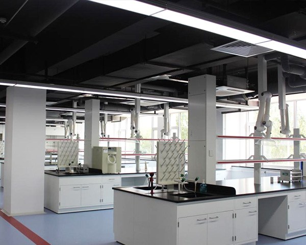 阜阳专业樱桃视频在线APP定制批发