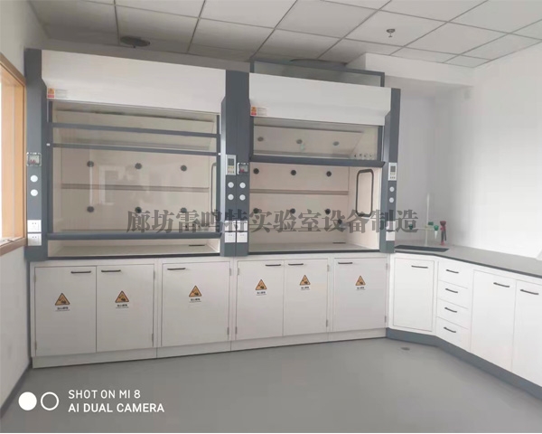 实验樱桃视频成人在线观看 实验樱桃视频成人在线观看